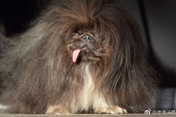 軟件測試是干什么的好學(xué)嗎_中央經(jīng)濟(jì)工作會(huì)議在北京舉行 習(xí)近平發(fā)表重要講話