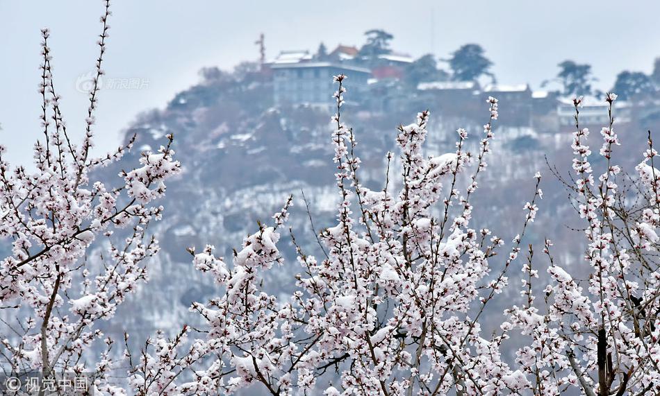網(wǎng)站優(yōu)化排名件_青春華章 向海圖強(qiáng)｜在山東，深海還能這么玩