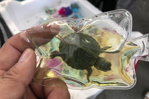 美批準(zhǔn)向中國出售英偉達(dá)H200人工智能芯片 外交部回應(yīng)