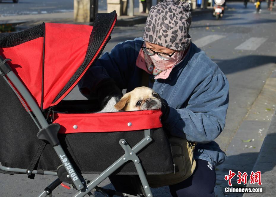 什么是套利交易_楊瀚森后腦勺撞地板后續(xù)：出現(xiàn)頭暈頭疼現(xiàn)象