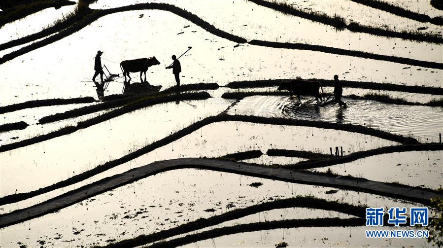 超級弱口令檢查工具下載_中國最唬人的職位，坑了多少應(yīng)屆生