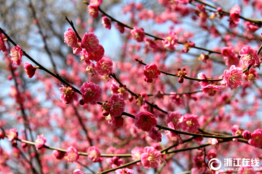 超級弱口令檢查工具下載_中國最唬人的職位，坑了多少應(yīng)屆生