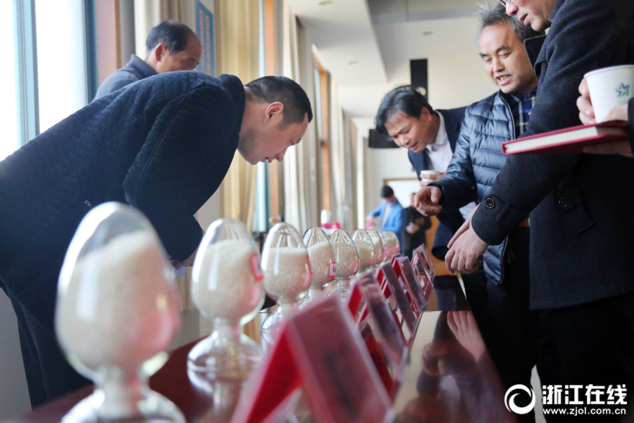 超級弱口令檢查工具下載_中國最唬人的職位，坑了多少應(yīng)屆生