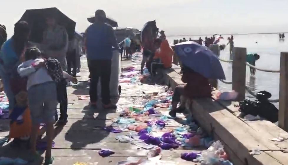 三大網(wǎng)收錄查詢怎么查詢_雞蛋不耐受可打疫苗么