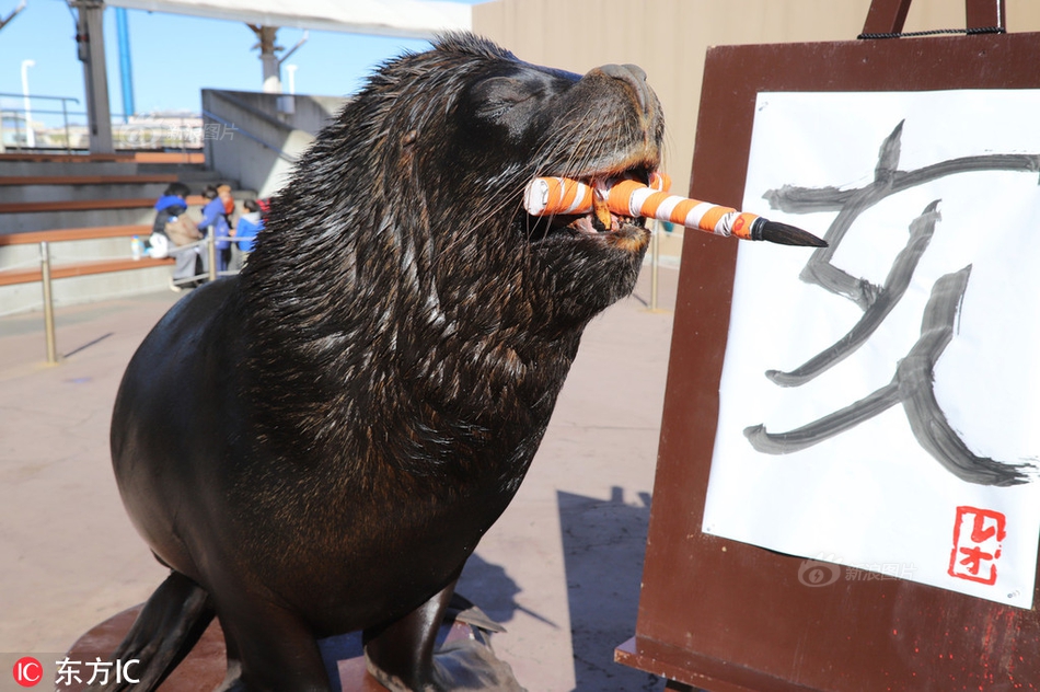 12315投訴酒店有用嗎_繼續(xù)實施更加積極的財政政策，明年具體怎么干？