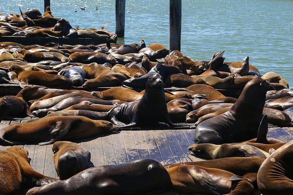 西方國家對我國文化滲透案例_【創(chuàng)作者故事】我在老福特畫oc