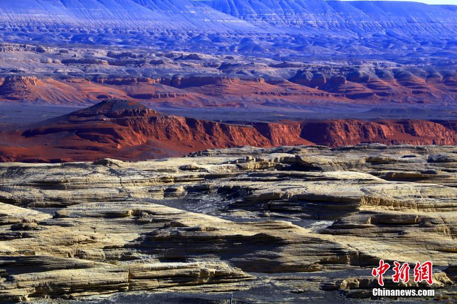 下標rss是什么意思_石榴畫說丨硬核！新疆治沙進化到“流水線種樹”了
