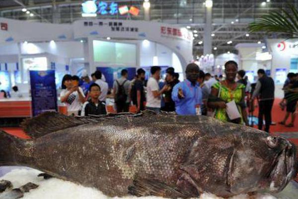 稅務申報網(wǎng)上申報_豆包手機助手回應微信異常