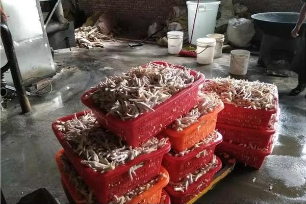 外國人拉行李箱在中國買買買