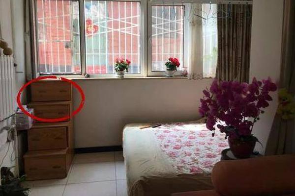 淘寶查號驗(yàn)號工具_(dá)小城，何以生機(jī)勃勃｜“去小城安家”的風(fēng)吹到了順德