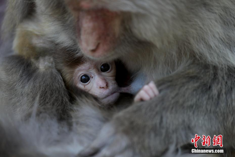 888勒索病毒解密工具_女子模仿網(wǎng)紅養(yǎng)生睡姿，半夜韌帶拉傷疼醒