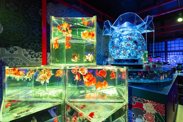 淘寶優(yōu)惠券怎么設(shè)置賣家發(fā)放_(tái)歐洲支持，澤連斯基又有底氣了