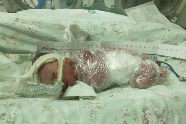 ai編程工具_(dá)孔笙談肖戰(zhàn)出演莫得閑，稱其心氣高眼神清澈