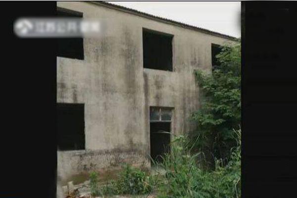 天寒地凍如何保證出行安全_2026年總臺(tái)春晚主題、主標(biāo)識(shí)發(fā)布