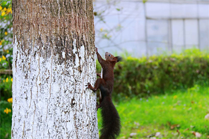 宣傳工作存在的問(wèn)題及整改措施_到店實(shí)拍全新福特領(lǐng)睿