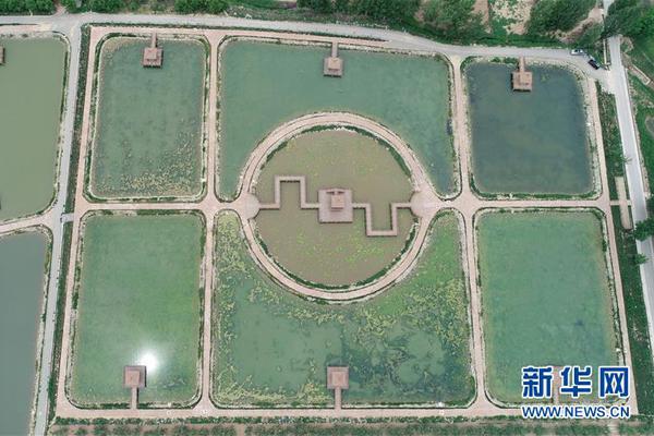 aspx網(wǎng)頁粘貼圖片的插件_海上風(fēng)電場“種出”綠色大森林 中國海上風(fēng)電連續(xù)五年居全球首位